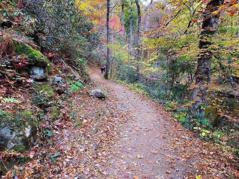 Abrams Falls Trail, Great Smoky Mountains National Park