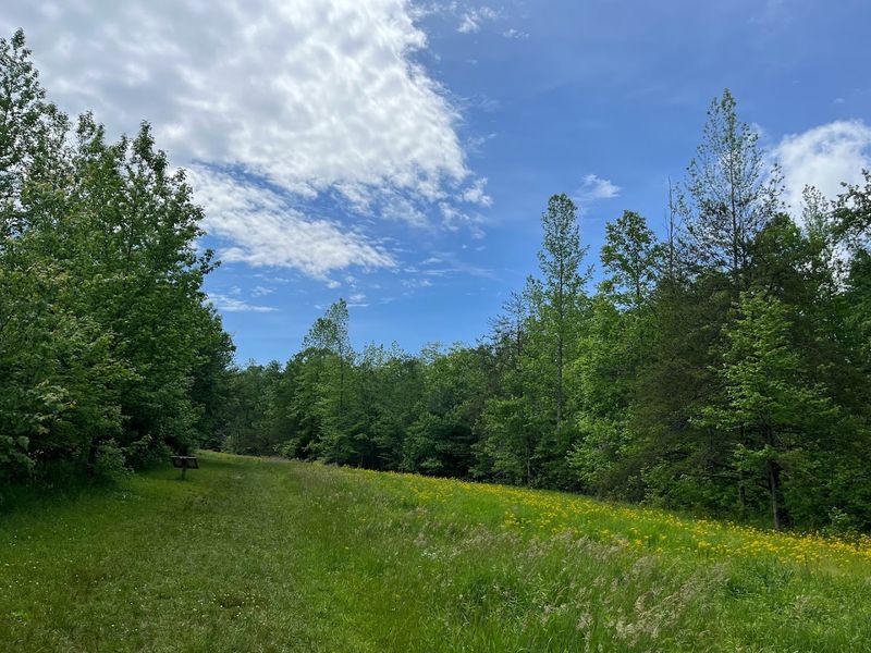 Fiery Gizzard State Park, Monteagle
