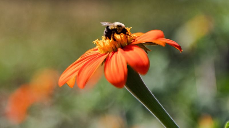 A Stay at Southall Comes With a Truly Unforgettable Taste of Tennessee