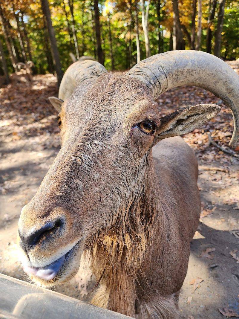 This Bybee Spot Turns A Simple Day Trip Into Something You'll Actually Remember