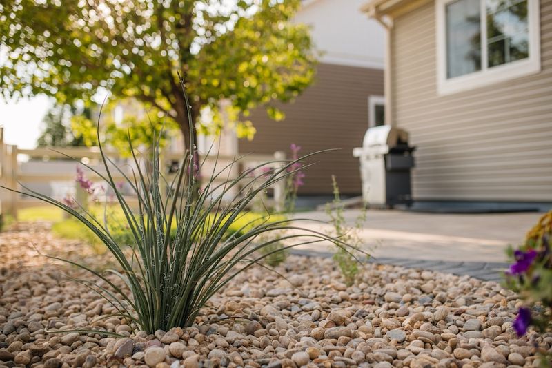 How Denver's Homes Are Embracing Coastal Curb Appeal: 10 Ideas To Try Now - Decor Hint Stone Pathways with Beach Pebbles
