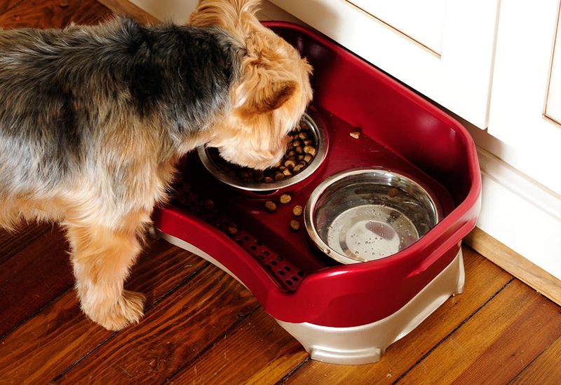 29 Kitchen "Icks" That Immediately Turn Off Homebuyers, According to Interior Designers - Decor Hint Pet Food Station Chaos
