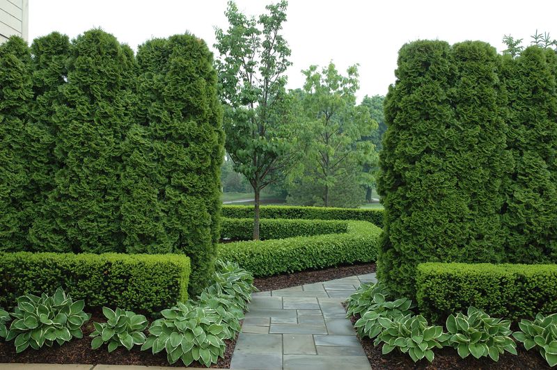 Oversized Hedging