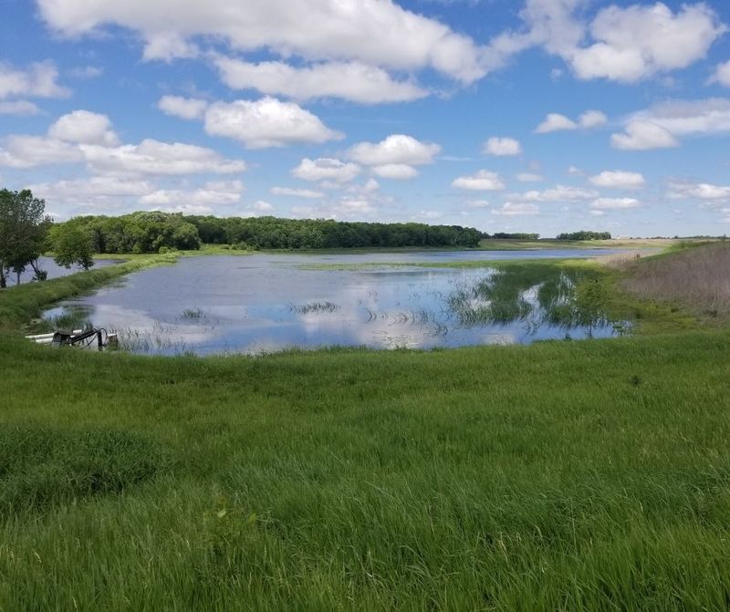 US Homeowners Beware 17 Backyard Items That Might Be Forbidden In The Near Future - Decor Hint Floating pools in wetlands or buffer zones
