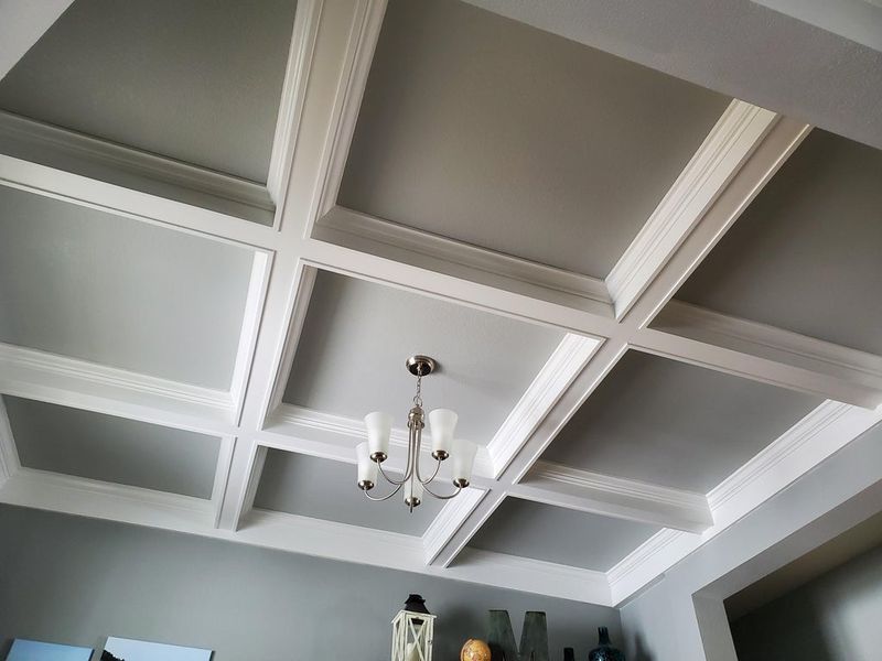 21 New Home Features That Sound Luxurious Until You Actually Live With Them - Decor Hint Elaborate Ceiling Treatments