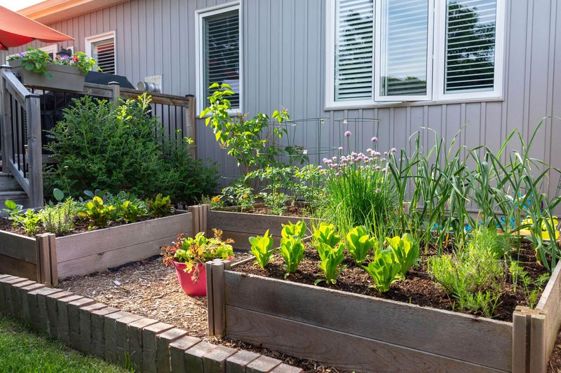 Edible Gardens In Decorative Layouts