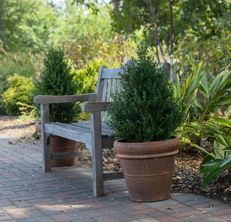 9 Items To Avoid On Your Oklahoma Porch And 4 That Add Value - Decor Hint Native Plant Containers Thrive Naturally