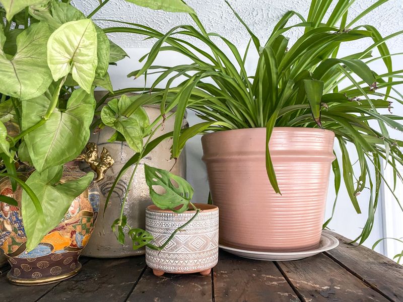 How To Style 14 Of The Most Common Items You'll Find At Thrift Stores In Your Home - Decor Hint Ceramic Planters