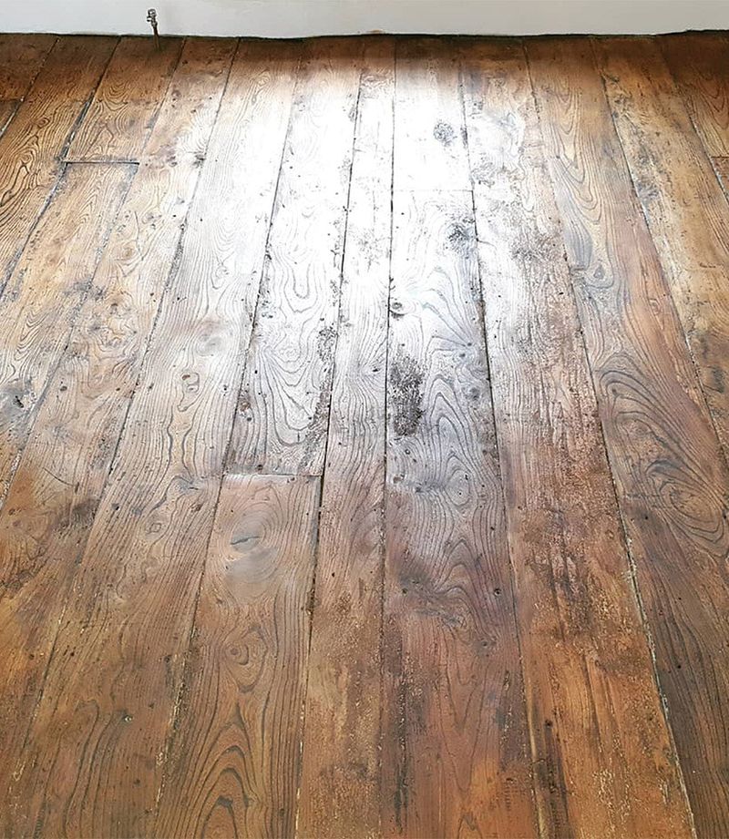 10 Must Toss Items In A Wisconsin Home And 10 Pieces To Treasure - Decor Hint Original Hardwood Floors (Treasure)