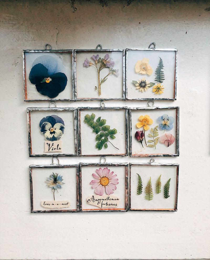Pressed Flower Frames