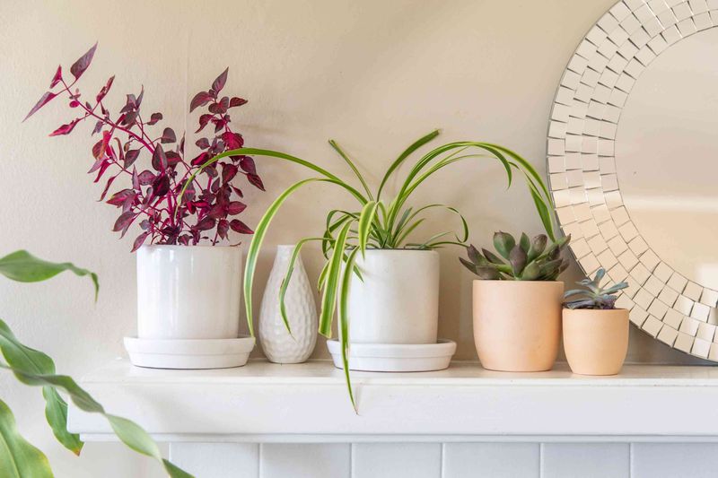 14 Style Secrets From People With Beautiful Homes - Decor Hint Add Fresh Flowers or Greenery
