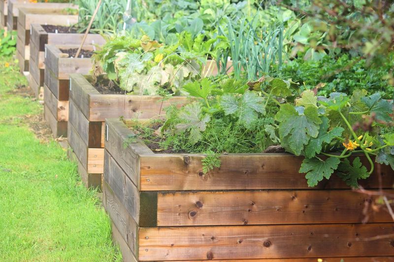 Nevada's Weekend DIY Boom: 12 Home Projects Everyone's Tackling Right Now - Decor Hint Raised Garden Beds