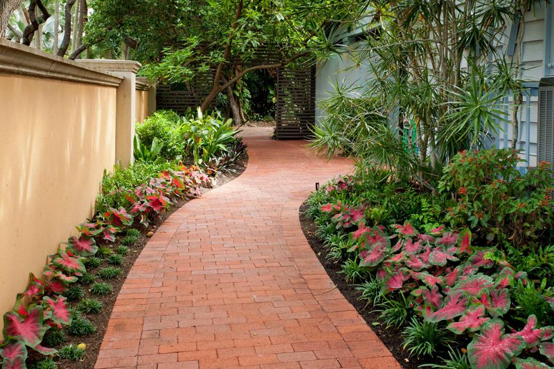 Tropical Landscaping