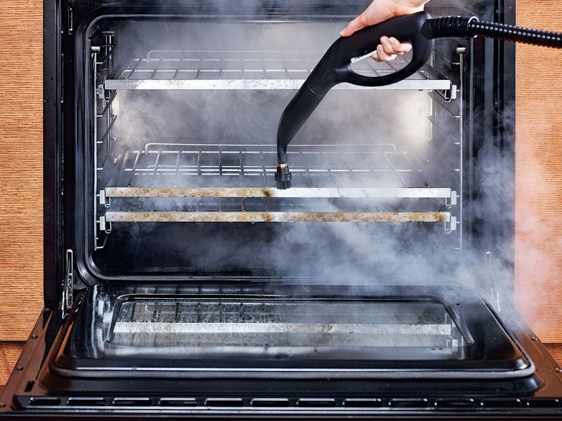 Steam Master Professional Vapor Cleaner
