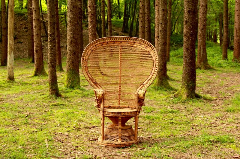 Rattan Paradise