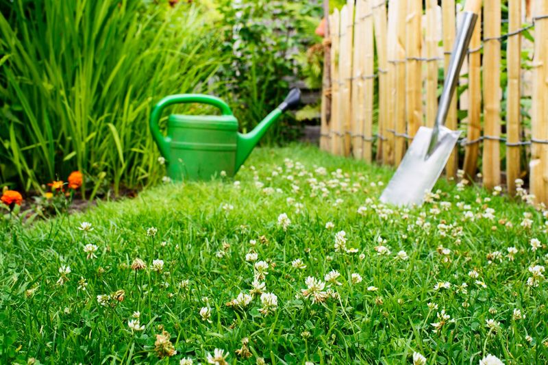 11 Secrets Behind Serene Yards In Iowa - Decor Hint Low-Maintenance Lawn Alternatives
