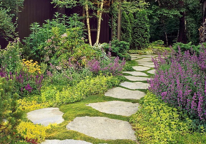 Embrace Groundcovers