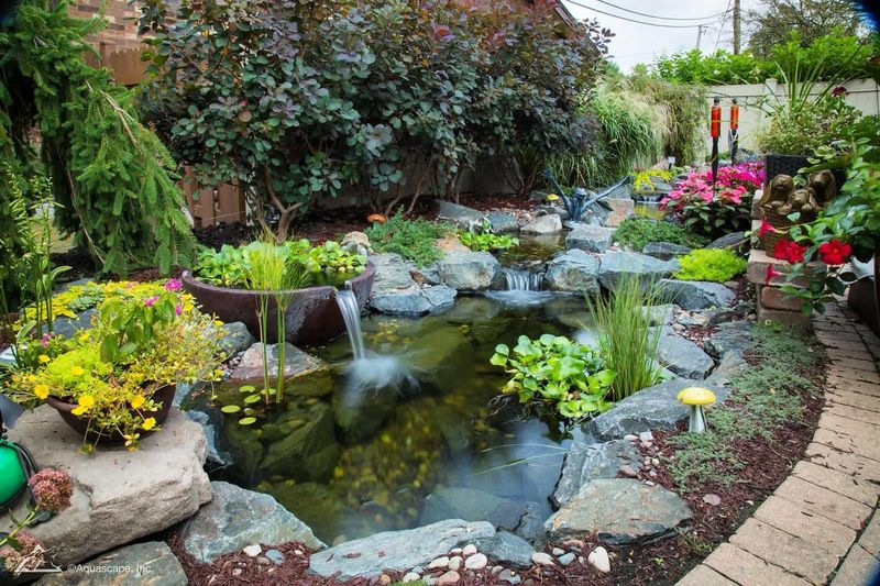 8 Backyard Design Moves That Make Florida Homes Feel Like Resorts - Decor Hint Incorporate Water Features Beyond Pools