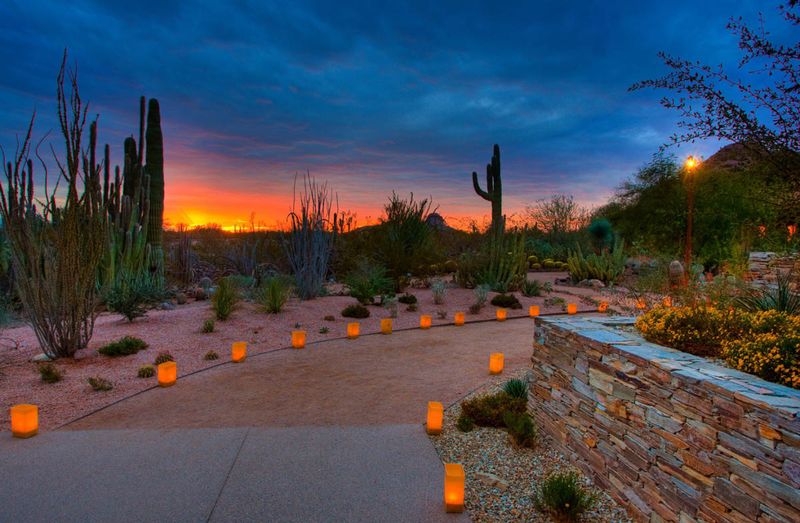 How Phoenix Residents Design Their Backyards For Year-Round Living - Decor Hint Night Lighting Magic For Desert Evenings