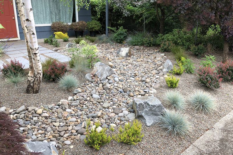 Front-Yard Charm: 9 Curb Appeal Ideas Straight From Wyoming Properties - Decor Hint Drought-Resistant Xeriscaping