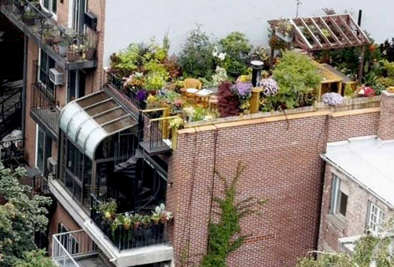 Rooftop Garden Cottage