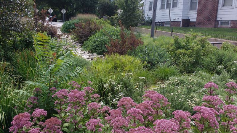 Nebraska's Neighborhoods Are Loving These 10 Outdoor Space Ideas - Decor Hint Rain Gardens for Prairie Downpours