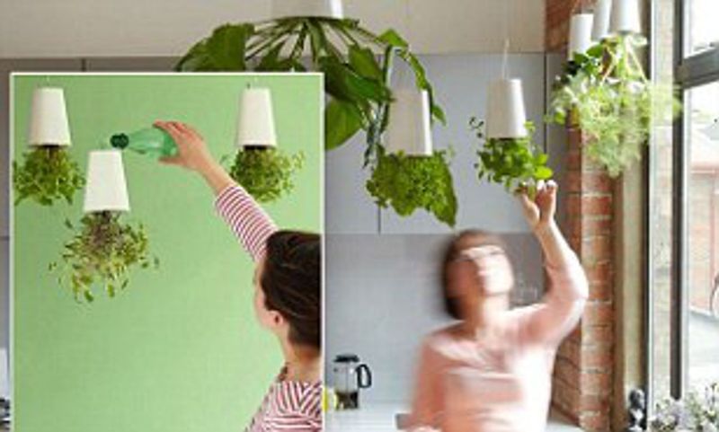 Real Estate Experts Say These Decor Trends Boost Home Sales, Available For A Limited Time - Decor Hint Upside-Down Potted Plants Hanging From Ceilings