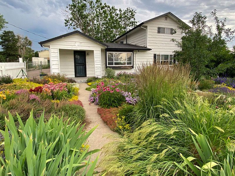 Front Gardens With Native Colorado Plants