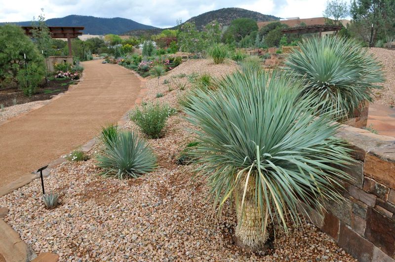 13 Things That Prove Outdoor Living In New Mexico Stays Effortlessly Charming - Decor Hint Embracing Natural Desert Landscaping