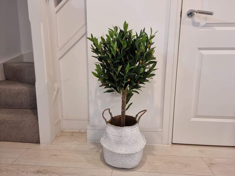 20 Outdated Décor Items That Make Your House Look Cheap - Decor Hint Fake Plants Coated in Dust