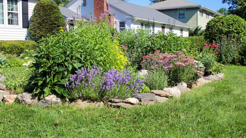 DIY Weekend Fixes To Transform Your Connecticut Home - Decor Hint Native Pollinator Garden Creation