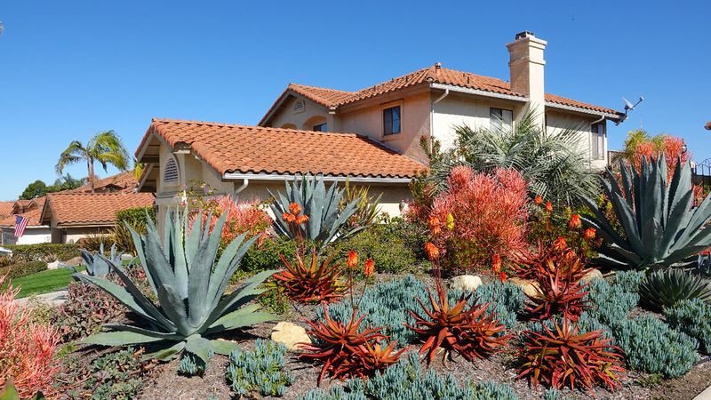 11 Stylish Desert-Ready Exterior Design Ideas Inspired By California Homes - Decor Hint Desert-Native Landscaping