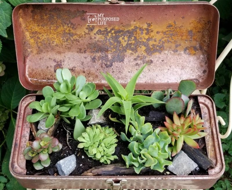 25 Awesome Succulent Porch Garden Ideas To Boost Curb Appeal - Decor Hint Succulents In Vintage Metal Containers