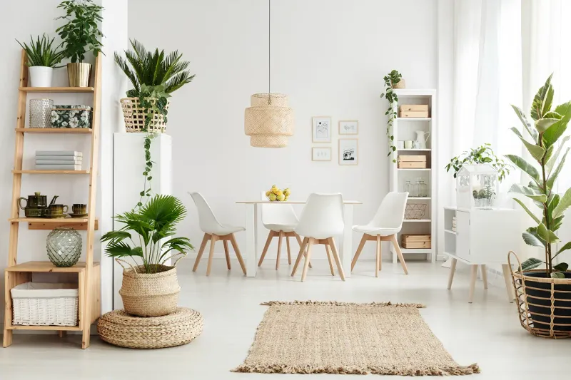 Bring In Plants