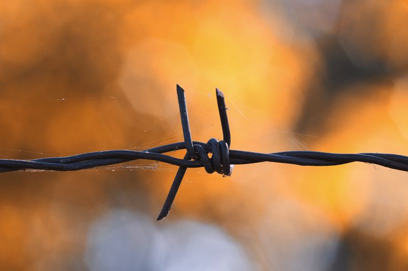 Using Barbed Wire or Spiked Fencing