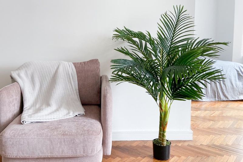 12 Things To Keep Out Of Your Living Room, According To Designers - Decor Hint Fake Plants That Collect Dust