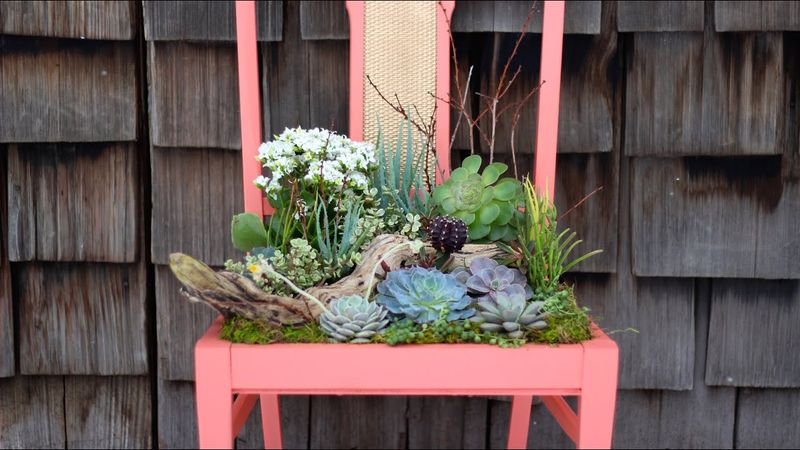 25 Awesome Succulent Porch Garden Ideas To Boost Curb Appeal - Decor Hint Repurposed Furniture As Succulent Planters