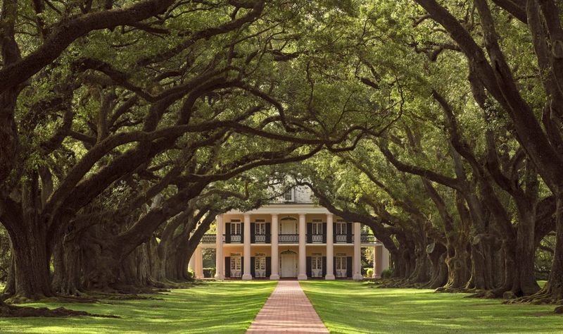 50 Photos Of Famous Historic Houses In Each US State - Decor Hint Oak Alley Plantation, Louisiana