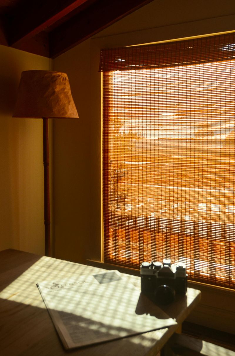 Bamboo Window Shades