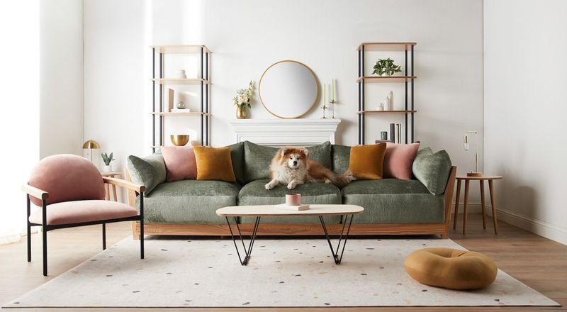 Creature Comforts: How Pets Are Influencing Home Design Trends - Decor Hint Washable Fabrics That Don't Scream 'Pet Owner'