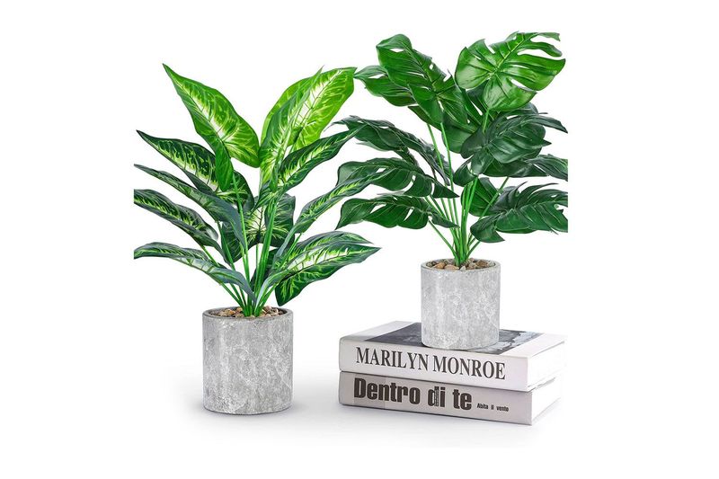 32 Things In Your Kitchen Illinois Designers Believe Diminish Your Home's Elegance - Decor Hint Artificial Plants