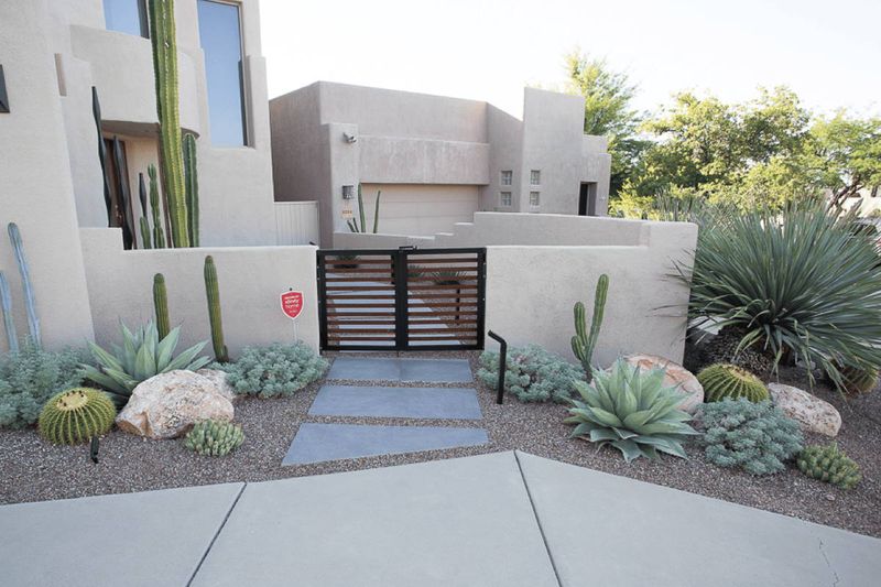 Desert-Inspired Xeriscaping