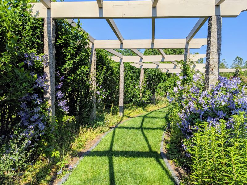 10 Beloved Outdoor Ideas In Washington And 4 That Should Catch Your Eye - Decor Hint Climbing Vines
