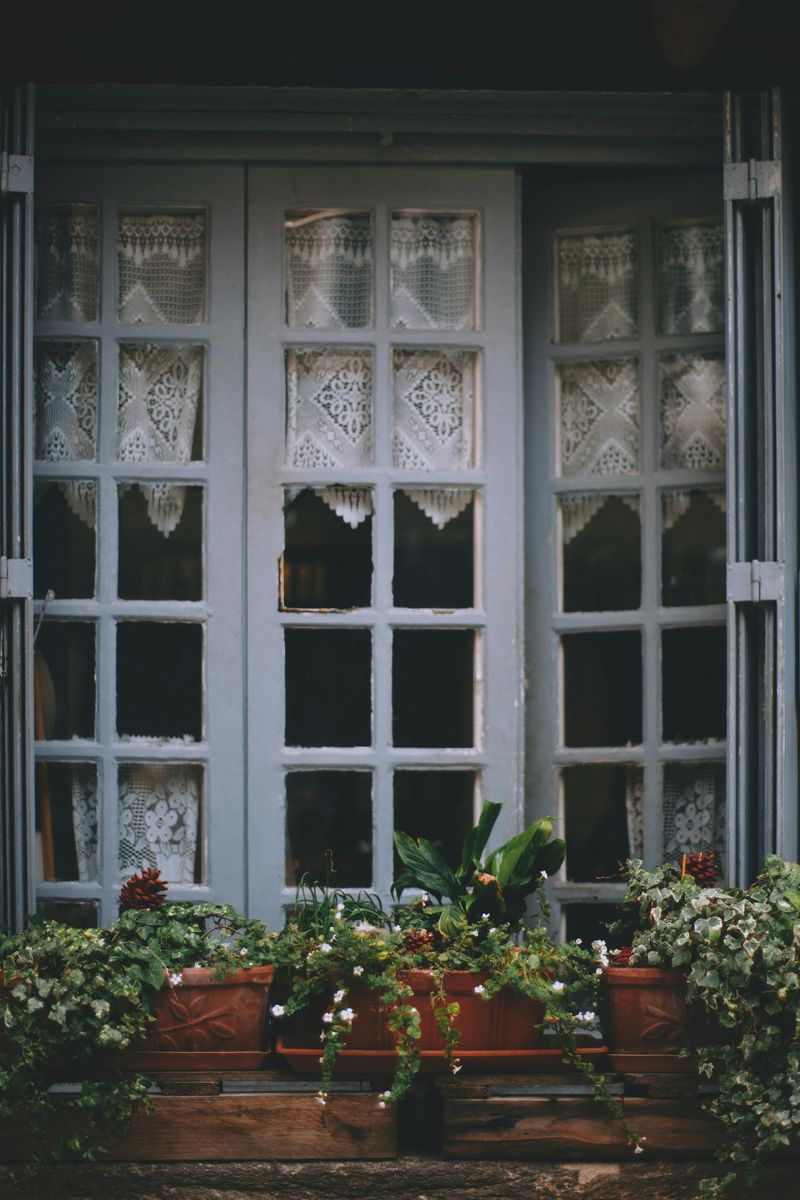 Lace Curtains