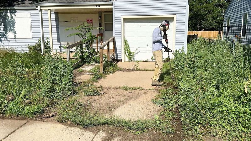 15 Red Flags About Your House That Repel House Buyers - Decor Hint Overgrown, Neglected Landscaping