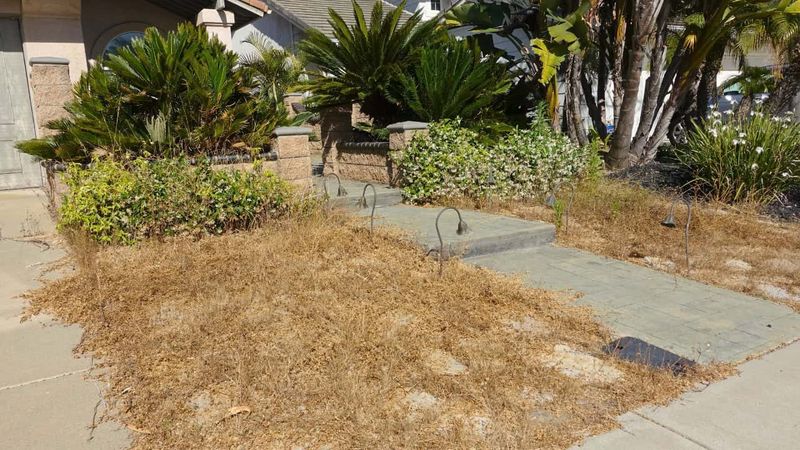 10 Common Staging Fails That Can Ruin First Impressions - And 5 That Shouldn't Exist - Decor Hint Neglected Curb Appeal