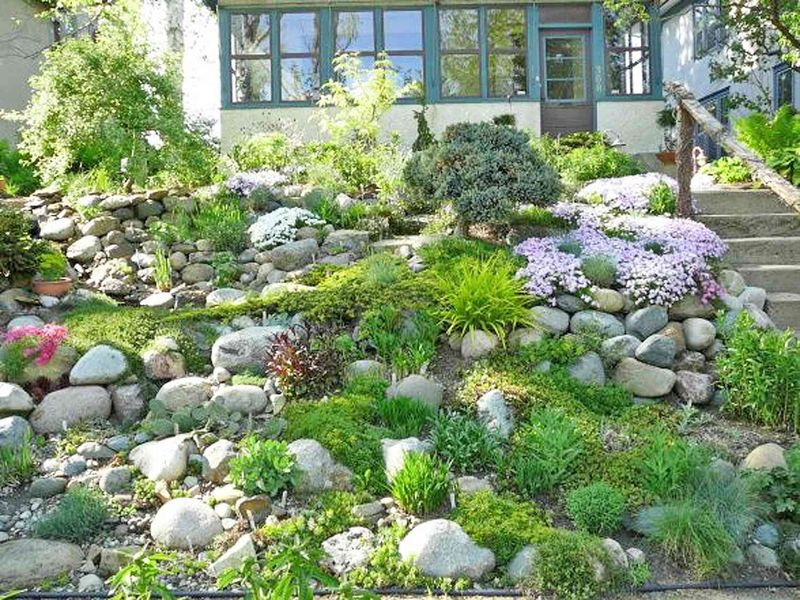 Rock Gardens with Alpine Plants