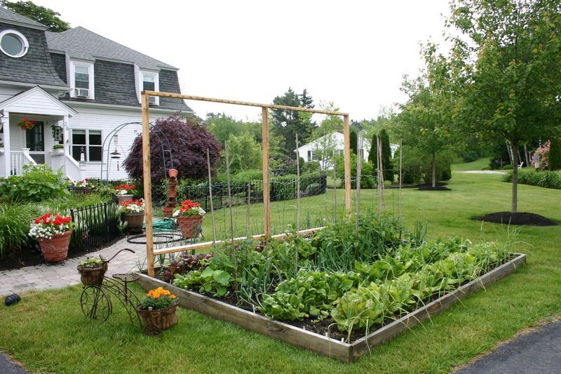 13 Yard Features That Could Soon Be Banned In U.S. Neighborhoods - Decor Hint Front Yard Vegetable Gardens