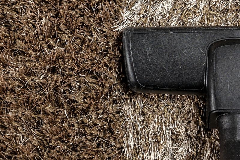 5 Living Room Items In Olympia That May Be Losing Value And 3 Others Some Say Were Never A Good Fit - Decor Hint Shag Carpets Never Suited Our Muddy Reality