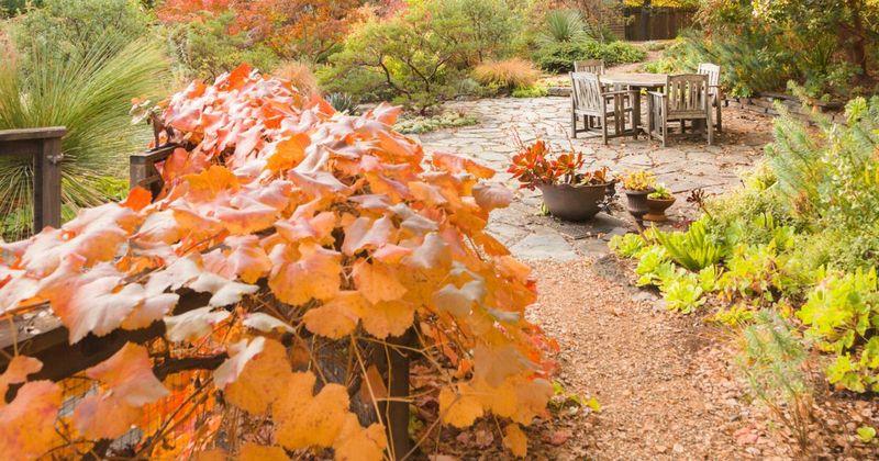 11 Secrets Behind Serene Yards In Iowa - Decor Hint Seasonal Color And Interest